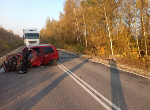 Под Тулой «Ока» выехала на «встречку» и врезалась в Lada X-RAY