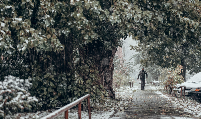 ÐÐºÑÑÐ±ÑÑ Ð² Ð¦ÐµÐ½ÑÑÐ°Ð»ÑÐ½Ð¾Ð¹ Ð Ð¾ÑÑÐ¸Ð¸ â ÑÐ°Ð¼ÑÐ¹ ÑÐµÐ¿Ð»ÑÐ¹ Ð² XXI Ð²ÐµÐºÐµ. ÐÐ°ÐºÐ¸Ð¼ Ð±ÑÐ´ÐµÑ Ð½Ð¾ÑÐ±ÑÑ?