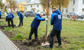 Ð¡Ð¾ÑÑÑÐ´Ð½Ð¸ÐºÐ¸ Â«ÐÐ¾Ð»Ð¸Ð¿Ð»Ð°ÑÑ ÐÐ¾Ð²Ð¾Ð¼Ð¾ÑÐºÐ¾Ð²ÑÐºÂ» Ð¿ÑÐ¸Ð½ÑÐ»Ð¸ ÑÑÐ°ÑÑÐ¸Ðµ Ð² Ð¾Ð·ÐµÐ»ÐµÐ½ÐµÐ½Ð¸Ð¸ Ð³Ð¾ÑÐ¾Ð´Ð°