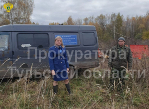 В Кимовске собаки загрызли женщину: подробности трагедии