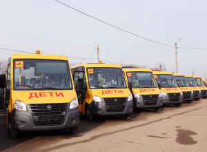 Какие тульские районы получат новые школьные автобусы