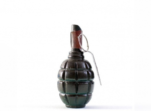 Бездомная нашла на калужской помойке ручную гранату и привезла ее в Тулу