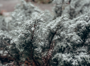 Мокрый снег и заморозки: на трассе М-4 в Тульской области ожидается ухудшение погоды