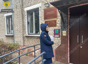 В Веневском районе бездомная собака напала на ребенка: администрация выплатит родителям компенсацию