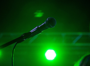 В Ефремове отменили концерт Ирины Круг