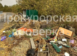 Под Тулой обнаружена несанкционированная свалка