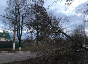 В Богородицке устраняют последствия непогоды