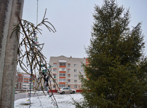 В Суворове неизвестные сломали новогоднюю елку и сорвали с нее гирлянду