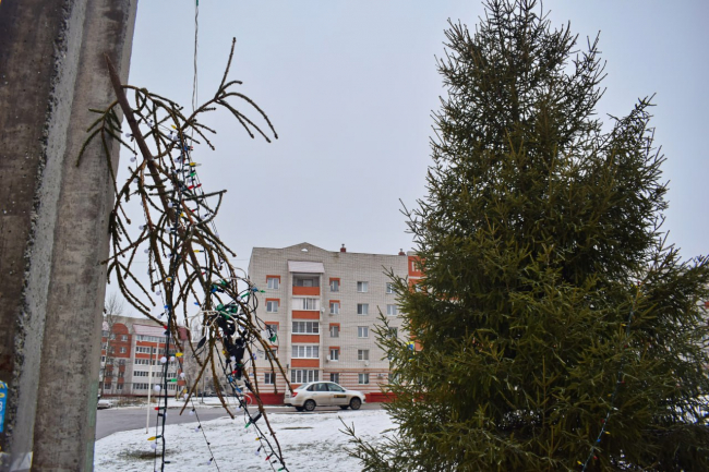 Ð Ð¡ÑÐ²Ð¾ÑÐ¾Ð²Ðµ Ð½ÐµÐ¸Ð·Ð²ÐµÑÑÐ½ÑÐµ ÑÐ»Ð¾Ð¼Ð°Ð»Ð¸ Ð½Ð¾Ð²Ð¾Ð³Ð¾Ð´Ð½ÑÑ ÐµÐ»ÐºÑ Ð¸ ÑÐ¾ÑÐ²Ð°Ð»Ð¸ Ñ Ð½ÐµÐµ Ð³Ð¸ÑÐ»ÑÐ½Ð´Ñ