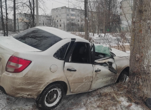 Под Тулой девушка на «Ладе» врезалась в дерево