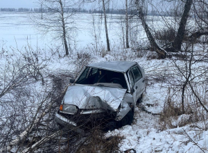 В Киреевском районе автоледи на «Ладе» врезалась в дерево