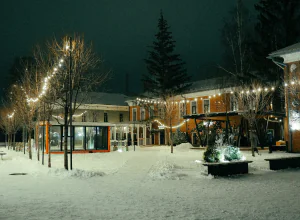 Как не впасть в уныние, если вы одиноки на Новый год: советы психологов