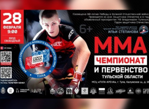 В Туле пройдут Чемпионат и Первенство области по MMA