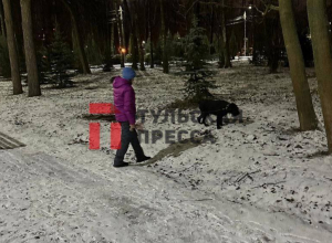 За время прогулки в Центральном парке тулячка насчитала 20 собачников в неположенном месте