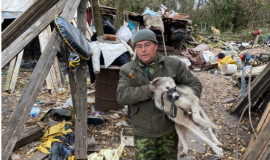 Ð£ÑÑÐ°Ð½Ð¾Ð²Ð»ÐµÐ½Ð¾, ÑÑÐ¾ Ð¶ÐµÐ½ÑÐ¸Ð½Ñ Ð² ÐÐ¸Ð¼Ð¾Ð²ÑÐºÐµ Ð·Ð°Ð³ÑÑÐ·Ð»Ð¸ ÑÐ¾Ð±Ð°ÐºÐ¸ Ð¼ÐµÑÑÐ½Ð¾Ð³Ð¾ Ð¶Ð¸ÑÐµÐ»Ñ