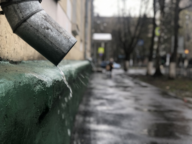 ÐÐ°ÐºÐ¸Ðµ Ð¿ÑÐ¾Ð³Ð½Ð¾Ð·Ñ Ð´ÐµÐ»Ð°ÑÑ Ð²ÐµÐ´ÑÑÐ¸Ðµ ÑÐ¸Ð½Ð¾Ð¿ÑÐ¸ÐºÐ¸ Ð½Ð° Ð²ÐµÑÐ½Ñ Ð¸ Ð»ÐµÑÐ¾ Ð¿Ð¾ÑÐ»Ðµ Ð°Ð½Ð¾Ð¼Ð°Ð»ÑÐ½Ð¾Ð³Ð¾ ÑÐ½Ð²Ð°ÑÑ