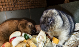 Ð¡ÑÑÐºÐ¸ ÑÑÐ»ÑÑÐºÐ¾Ð³Ð¾ ÑÐºÐ·Ð¾ÑÐ°ÑÐ¸ÑÐ¼Ð° Ð¿ÑÐµÐ´ÑÐºÐ°Ð·Ð°Ð»Ð¸ ÑÐµÐ¿Ð»ÑÑ Ð¸ ÑÐ°Ð½Ð½ÑÑ Ð²ÐµÑÐ½Ñ. ÐÐ¸Ð´ÐµÐ¾