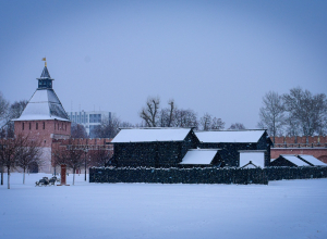 В Тульской области ожидаются снег и мороз: прогноз погоды синоптиков