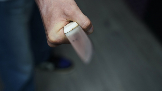 ÐÐ¾ÑÑÐ¾ÑÐ¸Ð»ÑÑ Ñ Ð±ÑÐ°ÑÐ¾Ð¼ Ð¸ Ð·Ð°ÑÐµÐ·Ð°Ð» ÐµÐ³Ð¾: Ð¶Ð¸ÑÐµÐ»Ñ ÐÐµÐ½ÐµÐ²ÑÐºÐ¾Ð³Ð¾ ÑÐ°Ð¹Ð¾Ð½Ð° Ð¿ÑÐµÐ´ÑÑÐ°Ð½ÐµÑ Ð¿ÐµÑÐµÐ´ ÑÑÐ´Ð¾Ð¼