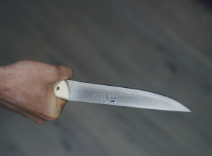 В Щекинском районе мужчина убил свою сожительницу ударом ножа