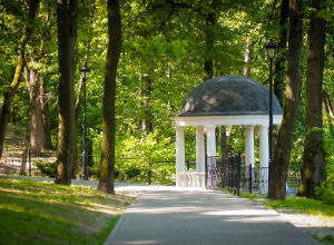 Два сквера на выбор: туляки определят, какие общественные пространства благоустроить в 2026 году