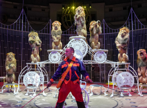 Трюки отрабатываются всю жизнь: заслуженный артист РФ Владислав Гончаров о цирковой жизни и особенностях дрессуры хищников