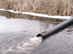 «Рыба дохнет, сильный запах»: туляки жалуются на загрязнение Веневки стоками картофельного завода