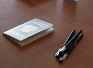 1 338 жителей ДНР, ЛНР и Украины получили российские паспорта в Тульской области в 2024 году