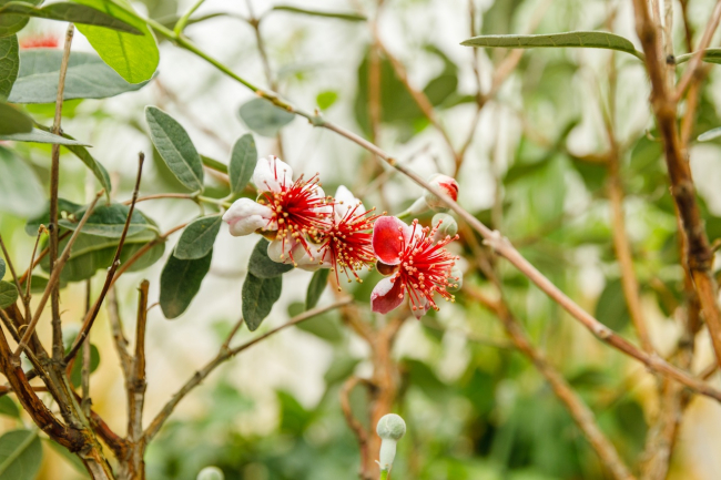 Ð¢ÑÐ»ÑÑÐºÐ¸Ðµ ÑÑÐ¾Ð¿Ð¸ÐºÐ¸: Ð² Ð¯ÑÐ½Ð¾Ð¹ ÐÐ¾Ð»ÑÐ½Ðµ Ð·Ð°ÑÐ²ÐµÐ»Ð° ÑÐµÐ¹ÑÐ¾Ð°