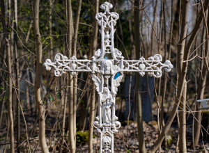 В Тульской области за март умерло в три раза больше людей, чем родилось