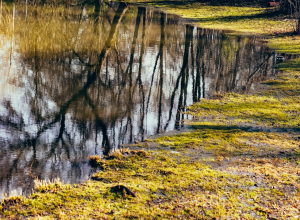 В Киреевском районе муниципальный водоканал загрязнял Упу стоками