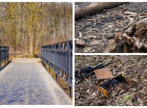 Повсюду сломанные деревья, грязь и мусор: кто запустил парк обороны Тулы?