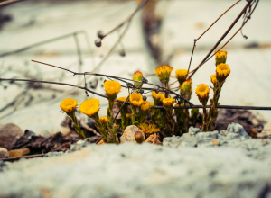 Тишковец предупредил об ультрафиолетовом ударе на Пасху