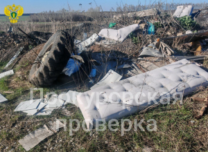 Под Тулой нашли несанкционированную свалку: прокуратура обязала ее ликвидировать