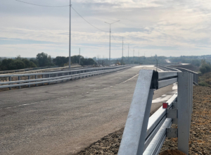 В Тульской области признались, что несколько лет не убирали валежник с обочин дорог