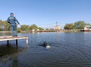 Бутылка, кирпич и ветки: что нашли водолазы на дне пруда в Центральном парке Тулы