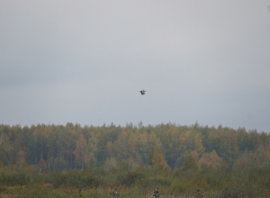 Тульские «Панцири» перехватили украинские беспилотники над ОЭЗ «Алабуга» в Татарстане