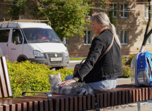 Туристам разрешат заселяться в тульские отели вместе со своими животными