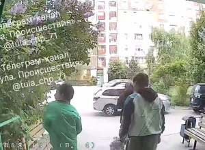 Избивают кошек, бьют окна и доводят пенсионеров: подростки нарушают покой в одном из дворов Тулы