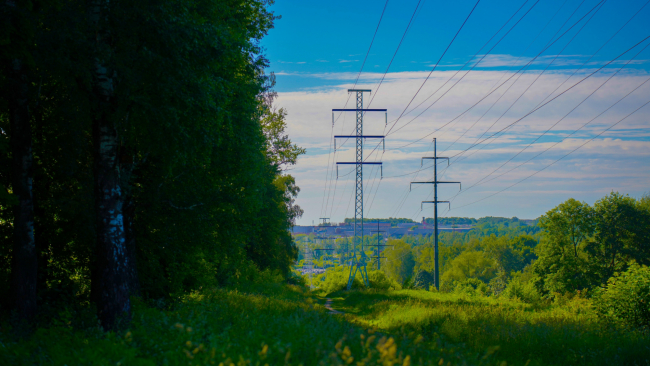 Ð¢ÑÐ»ÑÐºÐ¸ Ð²Ð½Ð¾Ð²Ñ Ð¶Ð°Ð»ÑÑÑÑÑ Ð½Ð° ÑÐ°Ð·Ð±ÑÐ¾ÑÐ°Ð½Ð½ÑÐµ Ð² Ð»ÐµÑÐ°Ñ ÑÑÑÑÐ¸