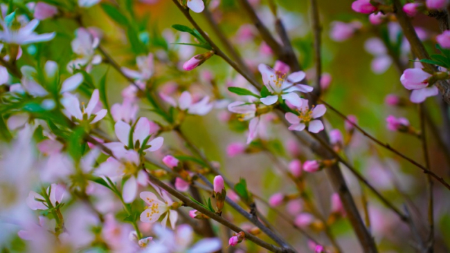 Â«ÐÐ°Ð¼Ð¾ÑÐ¾Ð·ÐºÐ¸ Ð½Ðµ ÑÐ°ÐºÐ¸Ðµ ÐºÑÐ¸ÑÐ¸ÑÐ½ÑÐµÂ»: ÑÑÐ»ÑÑÐºÐ¸Ð¹ Ð°Ð³ÑÐ¾Ð½Ð¾Ð¼ ÑÐ°ÑÑÐºÐ°Ð·Ð°Ð», ÐºÐ°Ðº Ð¿Ð¾ÑÐ¾Ð»Ð¾Ð´Ð°Ð½Ð¸Ðµ Ð¿Ð¾Ð²Ð»Ð¸ÑÐ»Ð¾ Ð½Ð° Ð´ÐµÑÐµÐ²ÑÑ