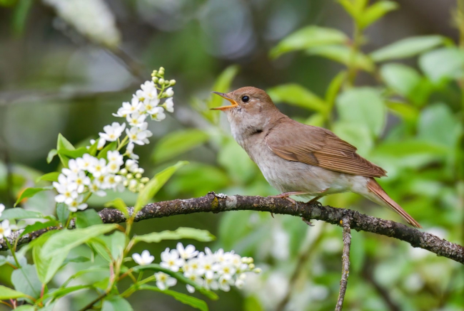 Ð Ð¢ÑÐ»ÑÑÐºÐ¾Ð¹ Ð¾Ð±Ð»Ð°ÑÑÐ¸ Ð½Ð°ÑÐ°Ð»Ð°ÑÑ Ð°ÐºÑÐ¸Ñ Ð¿Ð¾ Ð¿Ð¾Ð´ÑÑÐµÑÑ ÑÐ¾Ð»Ð¾Ð²ÑÐµÐ²
