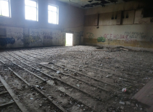 В Тульской области в деревне дети слоняются по развалинам культуры