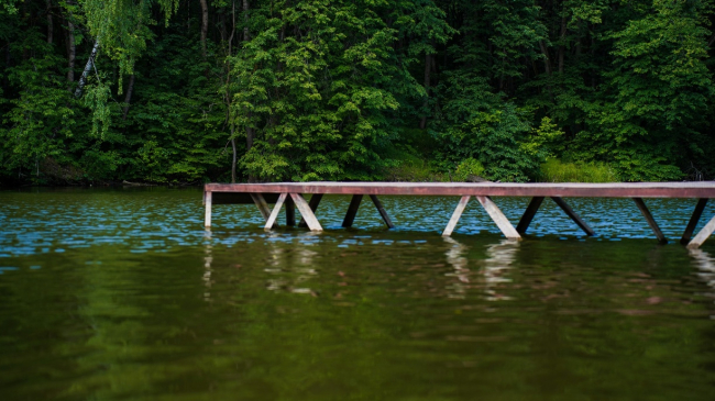 Ð ÐÐ»ÐµÐºÑÐ¸Ð½Ðµ Ð² Ð¿ÑÑÐ´Ñ Ð½Ð°ÑÐ»Ð¸ ÑÐµÐ»Ð¾ Ð¿Ð¾Ð´ÑÐ¾ÑÑÐºÐ°
