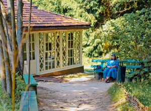 Льготы для поступающих в вузы и защита от мошенников: как изменится жизнь туляков в июне