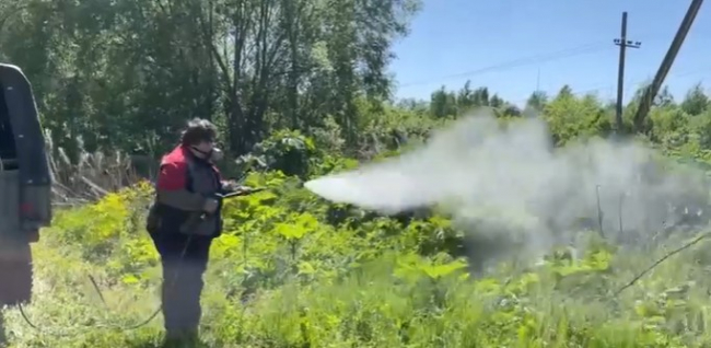 Ð ÐÐµÐ»ÐµÐ²Ðµ Ð½Ð°ÑÐ°Ð»Ð¸ Ð±Ð¾ÑÑÐ±Ñ Ñ Ð±Ð¾ÑÑÐµÐ²Ð¸ÐºÐ¾Ð¼