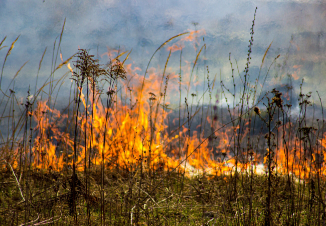 ÐÐµÑÐµÐ¾Ð¿ÑÐµÐ´ÑÐ¿ÑÐµÐ¶Ð´ÐµÐ½Ð¸Ðµ: Ð² Ð¢ÑÐ»ÑÑÐºÐ¾Ð¹ Ð¾Ð±Ð»Ð°ÑÑÐ¸ ÑÐ¾ÑÑÐ°Ð½ÑÐµÑÑÑ Ð²ÑÑÐ¾ÐºÐ°Ñ Ð¿Ð¾Ð¶Ð°ÑÐ¾Ð¾Ð¿Ð°ÑÐ½Ð¾ÑÑÑ
