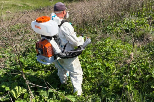 Ð Ð¢ÑÐ»Ðµ Ð¿ÑÐ¾Ð´Ð¾Ð»Ð¶Ð°ÑÑ ÑÑÐ°Ð²Ð¸ÑÑ Ð±Ð¾ÑÑÐµÐ²Ð¸Ðº Ð¡Ð¾ÑÐ½Ð¾Ð²ÑÐºÐ¾Ð³Ð¾: Ð¾Ð±ÑÐ°Ð±Ð¾ÑÐ°Ð½Ð¾ 650 Ð³Ð° Ð¸Ð· 1000 Ð·Ð°Ð¿Ð»Ð°Ð½Ð¸ÑÐ¾Ð²Ð°Ð½Ð½ÑÑ