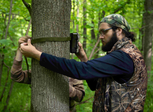 Барсуки из Тульской области начали попадаться в фотоловушки