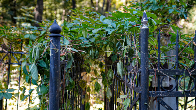 ÐÐ±Ð²Ð¾ÑÐ¾Ð²Ð°Ð»Ð¸ ÑÐ¼ÐµÑÑÐ¸Ñ: Ñ ÐºÐ»Ð°Ð´Ð±Ð¸ÑÐ° Ð¿Ð¾Ð´ Ð¢ÑÐ»Ð¾Ð¹ ÑÐºÑÐ°Ð»Ð¸ Ð¼Ð¾Ð³Ð¸Ð»ÑÐ½ÑÐµ ÑÐ²ÐµÑÐ½Ð¸ÐºÐ¸